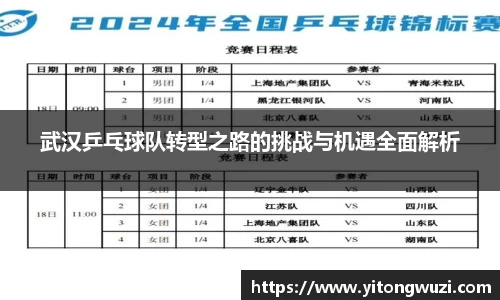 武汉乒乓球队转型之路的挑战与机遇全面解析